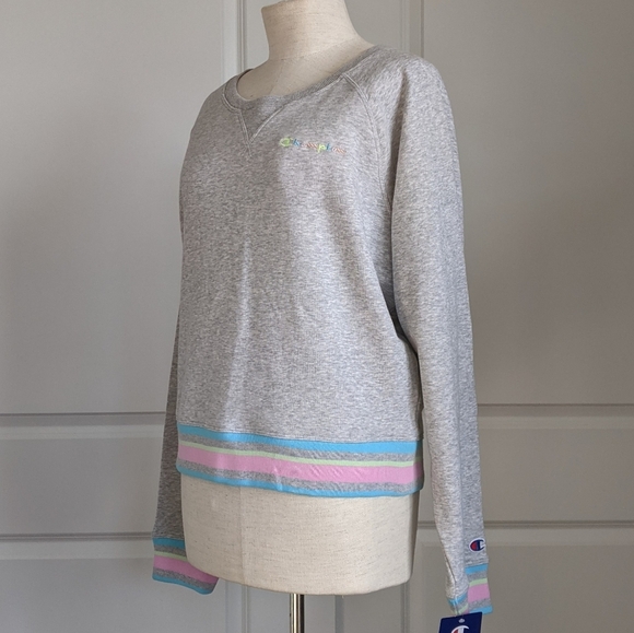 Champion Sweatshirt Rainbow Logo French Terry Crew Raglan Sleeves Grey L NWT - Picture 6 of 15